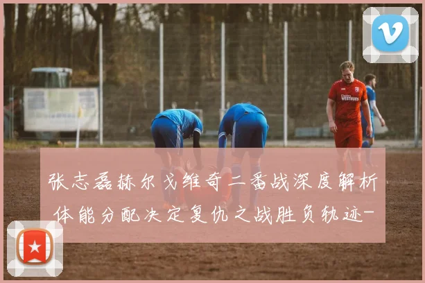 张志磊赫尔戈维奇二番战深度解析 体能分配决定复仇之战胜负轨迹