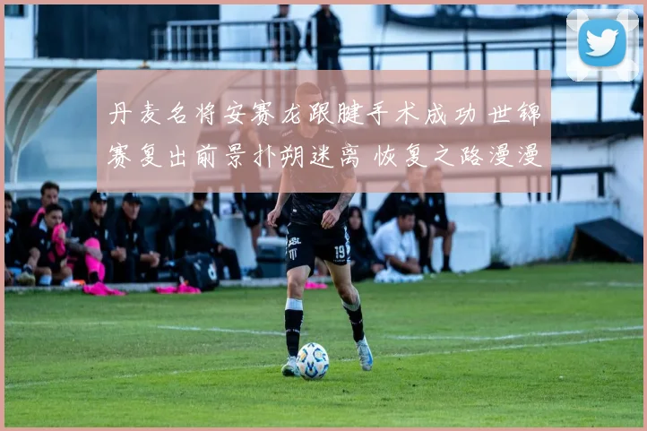 丹麦名将安赛龙跟腱手术成功 世锦赛复出前景扑朔迷离 恢复之路漫漫 球迷心急如焚