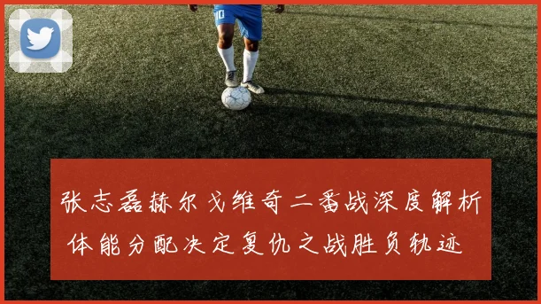 张志磊赫尔戈维奇二番战深度解析 体能分配决定复仇之战胜负轨迹