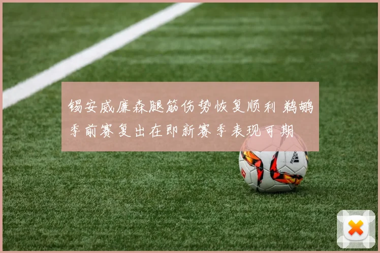 锡安威廉森腿筋伤势恢复顺利 鹈鹕季前赛复出在即新赛季表现可期