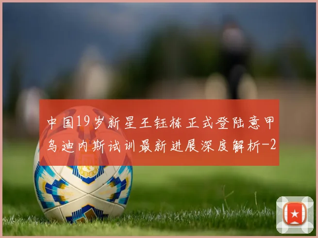 中国19岁新星王钰栋正式登陆意甲乌迪内斯试训最新进展深度解析