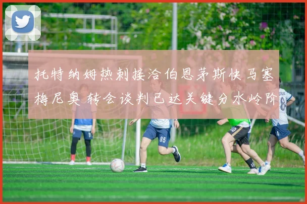 托特纳姆热刺接洽伯恩茅斯快马塞梅尼奥 转会谈判已达关键分水岭阶段