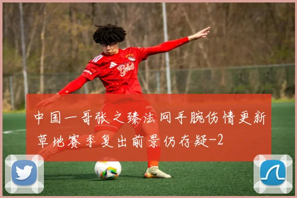 中国一哥张之臻法网手腕伤情更新 草地赛季复出前景仍存疑